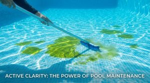 Comment éliminer les algues au fond de votre piscine
