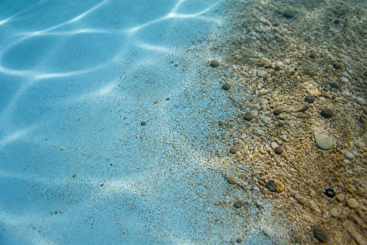 3 signes pour distinguer la poussière, le sable et les algues