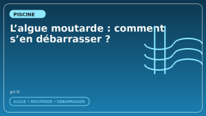 L'algue moutarde : comment s'en débarrasser ?