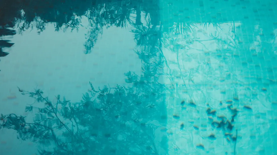 Feuilles mortes flottant à la surface d'une piscine